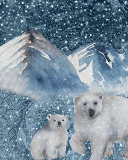 Due orsi polari (mamma e cucciolo, ci guardano. Sullo sfondo un cielo stellato, ghiacciai e neve.