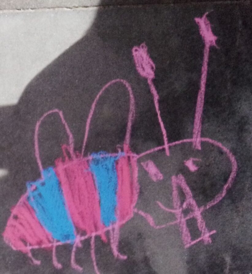 Un'ape disegnata con i gessetti con colori rosa e e azzurro. Realizzata durante un laboratorio di Favolara